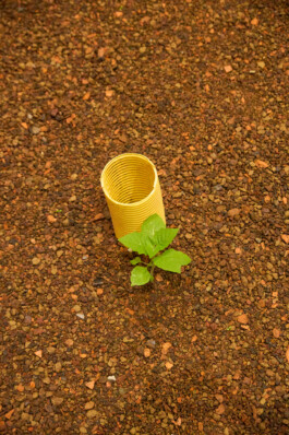  © photography kai pelka, www.kaipelka.de